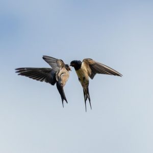accompagner couple