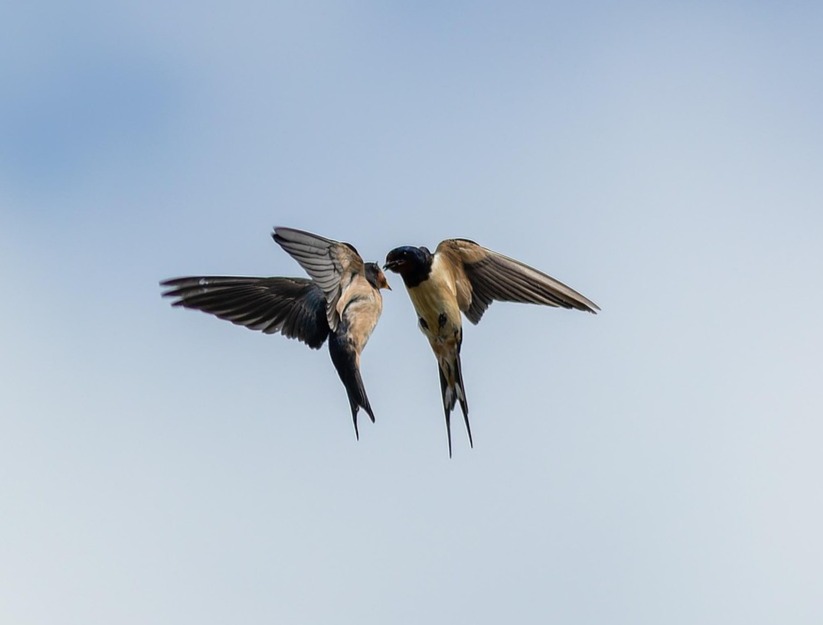 accompagner couple